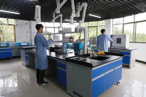 專業技術鑄就專業服務 信息技術咨詢服務