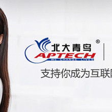 寧波市慈溪青鸞信息技術咨詢有限責任公司專業服務概覽